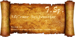 Türmer Szilveszter névjegykártya